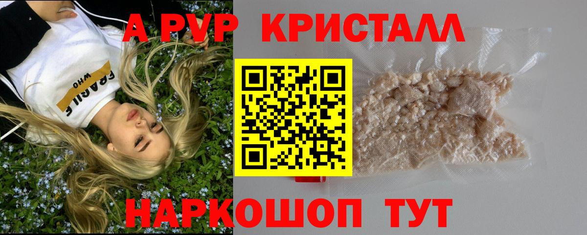 A PVP СК КРИС Владивосток